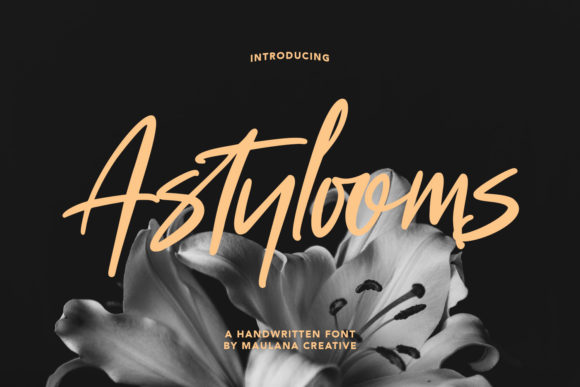 Astylooms: A Timeless Script Handwritten Font for Branding