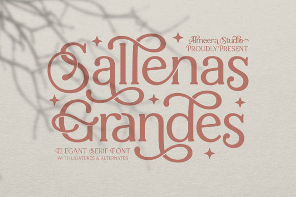 Sallenas Grandes: A Premium Serif Font Review
