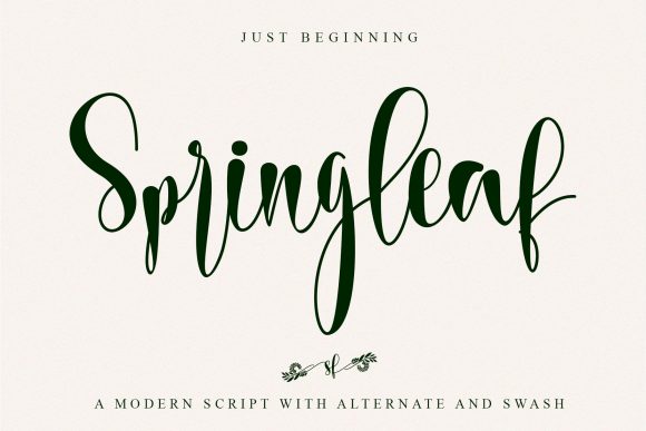 Springleaf: A Refined Script Handwritten Font for Branding